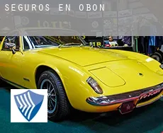 Seguros en  Obón