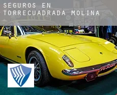 Seguros en  Torrecuadrada de Molina