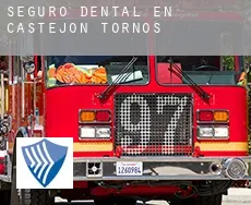 Seguro dental en  Castejón de Tornos