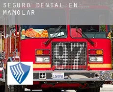 Seguro dental en  Mamolar