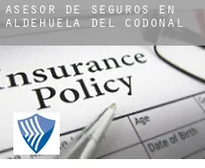 Asesor de seguros en Aldehuela del Codonal