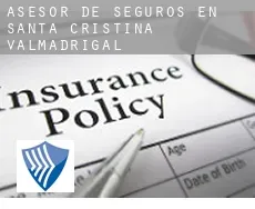 Asesor de seguros en  Santa Cristina de Valmadrigal