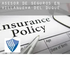 Asesor de seguros en  Villanueva del Duque