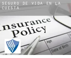 Seguro de vida en La Cuesta