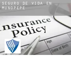 Seguro de vida en  Muñopepe