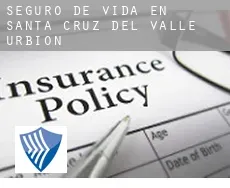 Seguro de vida en  Santa Cruz del Valle Urbión