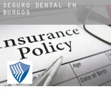 Seguro dental en  Burgos
