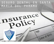 Seguro dental en  Santa María del Páramo