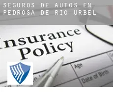 Seguros de autos en  Pedrosa de Río Úrbel