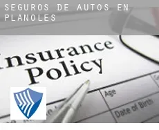 Seguros de autos en  Planoles