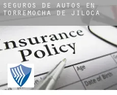 Seguros de autos en  Torremocha de Jiloca