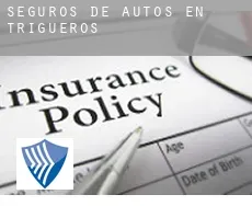 Seguros de autos en Trigueros
