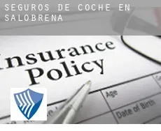 Seguros de coche en Salobreña