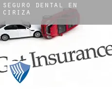 Seguro dental en  Ciriza