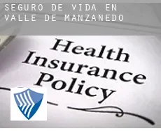 Seguro de vida en  Valle de Manzanedo