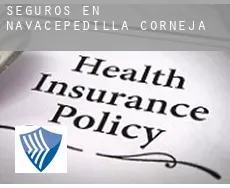 Seguros en Navacepedilla de Corneja