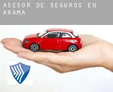 Asesor de seguros en  Arama