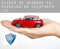 Asesor de seguros en Pozuelos de Calatrava (Los)
