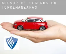 Asesor de seguros en  Torremanzanas / Torre de les Maçanes
