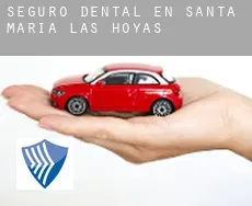 Seguro dental en  Santa María de las Hoyas