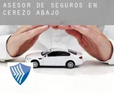 Asesor de seguros en  Cerezo de Abajo
