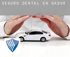 Seguro dental en  Gádor