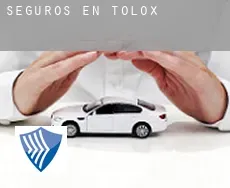 Seguros en  Tolox