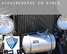 Aseguradoras en  Ginés