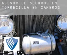 Asesor de seguros en  Torrecilla en Cameros