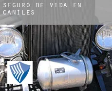 Seguro de vida en  Caniles