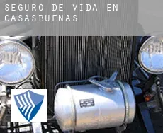 Seguro de vida en  Casasbuenas