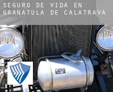 Seguro de vida en  Granátula de Calatrava