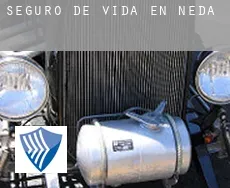 Seguro de vida en  Neda