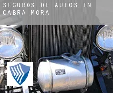 Seguros de autos en  Cabra de Mora