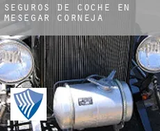 Seguros de coche en  Mesegar de Corneja