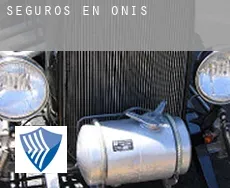 Seguros en  Onís