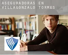 Aseguradoras en  Villagonzalo de Tormes