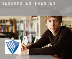 Seguros en  Fuentes