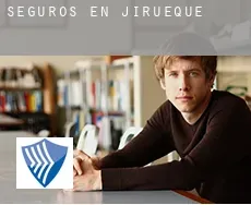 Seguros en  Jirueque