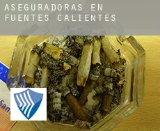 Aseguradoras en  Fuentes Calientes