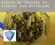 Asesor de seguros en  Riaguas de San Bartolomé