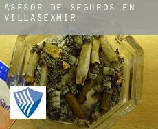 Asesor de seguros en  Villasexmir