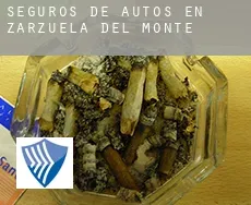 Seguros de autos en  Zarzuela del Monte