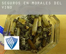 Seguros en  Morales del Vino