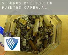 Seguros medicos en  Fuentes de Carbajal