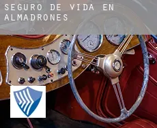 Seguro de vida en Almadrones