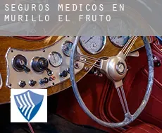 Seguros medicos en  Murillo el Fruto