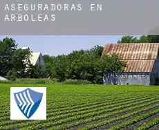 Aseguradoras en  Arboleas