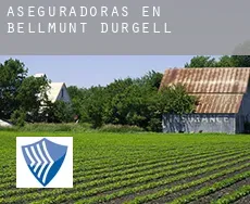 Aseguradoras en  Bellmunt d'Urgell
