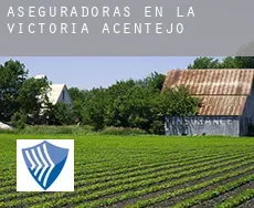 Aseguradoras en  La Victoria de Acentejo